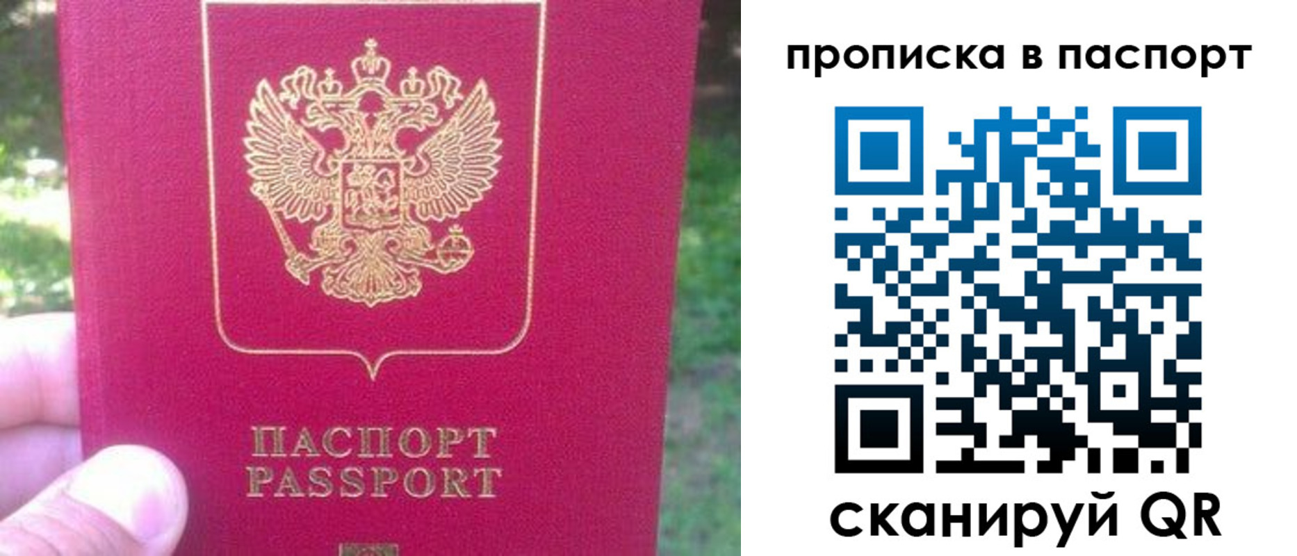 временная регистрация для всех в Барыше